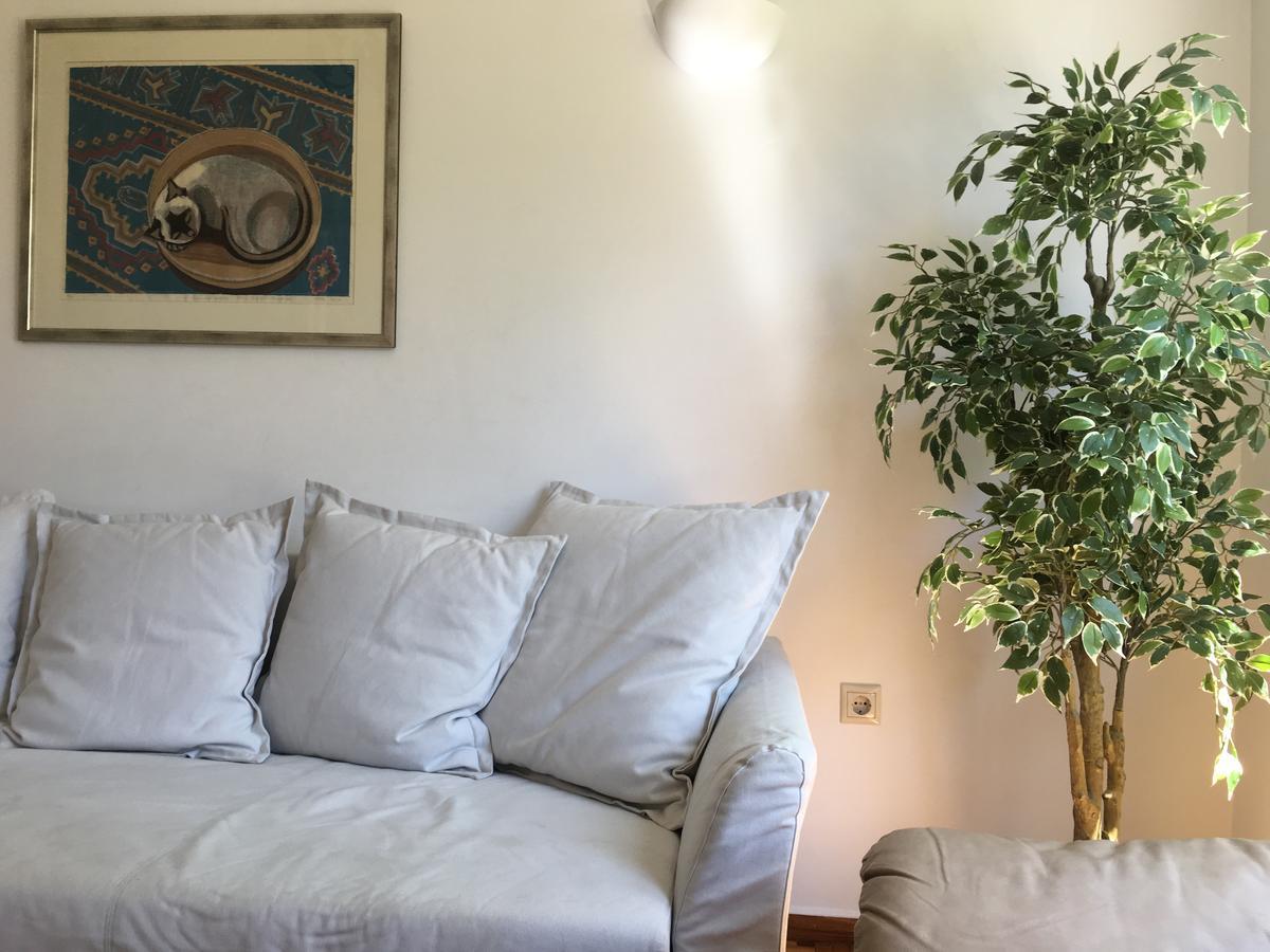 Central 5 Room Apartment Atenas Exterior foto